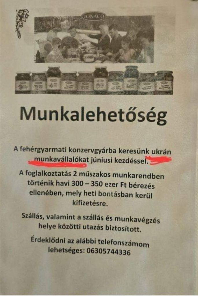 Hírdetés